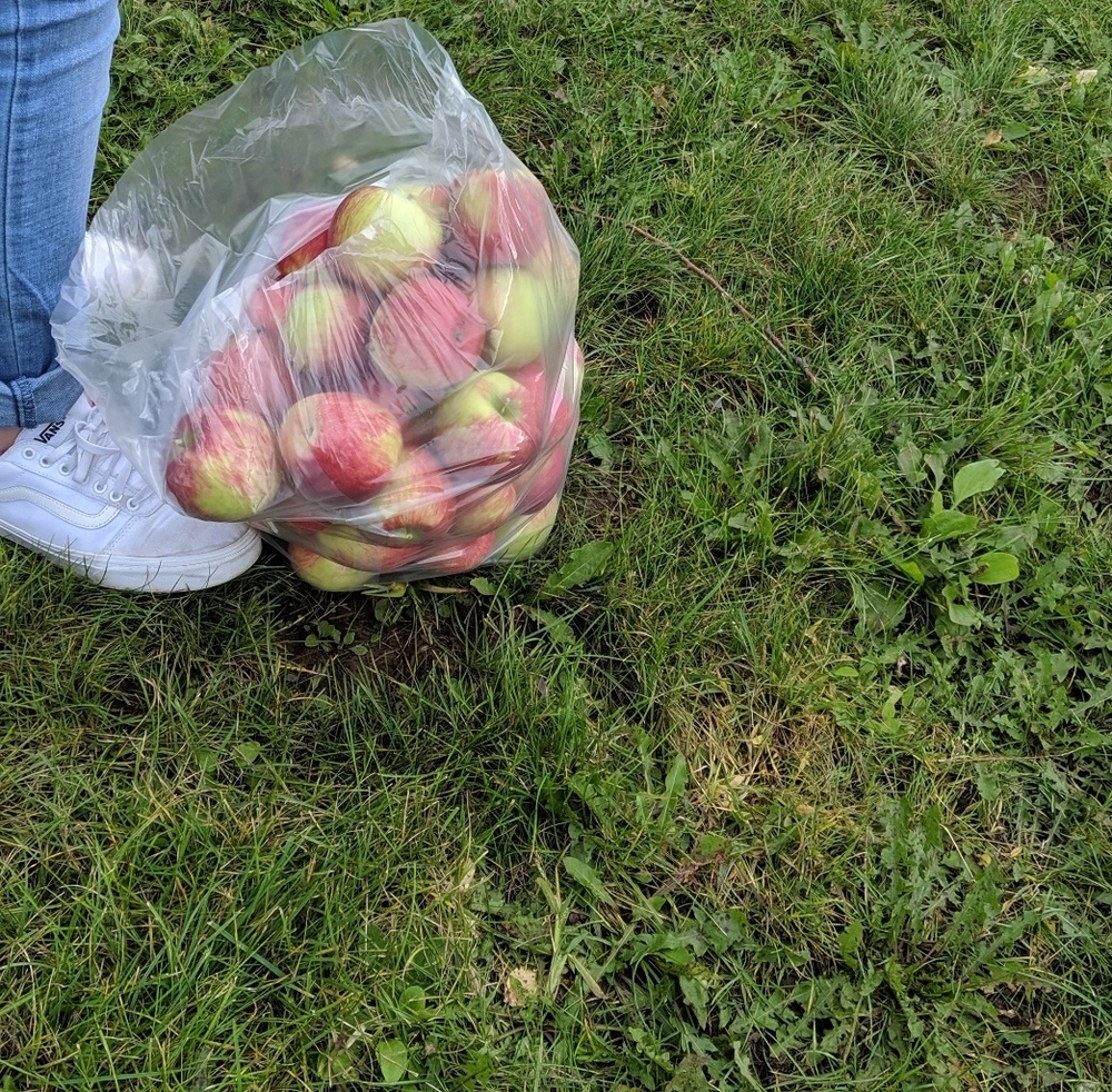 Meet your Posher, Authsea!